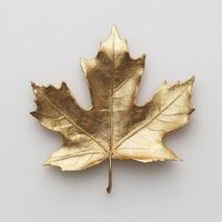 Golden Maple Leaf photo