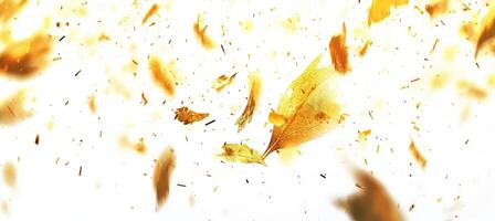 Golden Particles in Flight photo