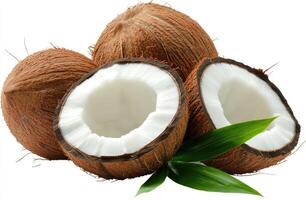 Fresh coconuts, whole and halved, with green leaves photo