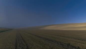 Misty field at dawn photo