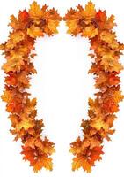 Autumnal Leaf Arch Frame photo