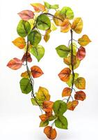 Autumnal vine garland photo