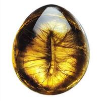 Golden Egg Gemstone photo