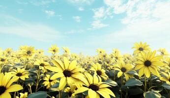 A vibrant field of sunflowers under a clear sky photo