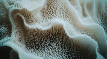 Cellular, textured, organic form photo