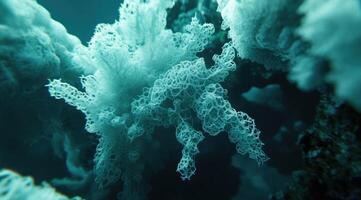 Abstract underwater formations photo