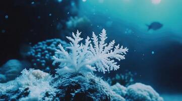 White coral in a vibrant underwater scene photo