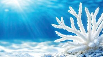 Pristine white coral in azure ocean photo