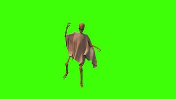 Skeleton with Dynamic Cloth Dancing in Green Screen video