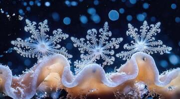 Delicate underwater snowflakes photo