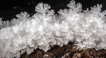 Intricate ice crystals on dark surface photo