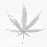 Detailed white cannabis leaf graphic photo