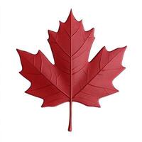 Vivid red maple leaf, detailed illustration photo
