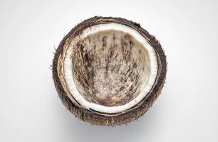 Opened coconut shell, empty interior photo