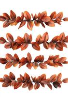 Autumnal leaf garland. Four horizontal rows of realistic, copper-toned autumn leaves, arranged in a garland pattern photo