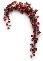 Deep crimson vine-like garland photo