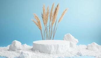 Minimalist, nature-inspired podium display photo