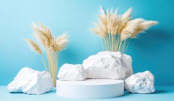 A minimalist display with pampas grass and white rocks photo