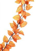 Autumnal fall leaves garland photo
