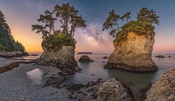 Coastal rocks, trees, milky way, sunrise photo