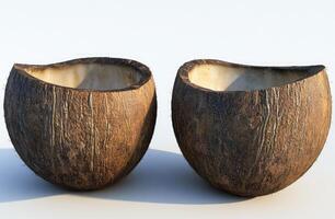 Two halved coconuts, empty inside photo