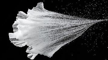 Abstract White Fractal Bloom with Fine Details in High Contrast on Black photo