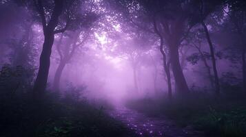 Enchanted Misty Forest Path Illuminated by Mysterious Purple Light photo
