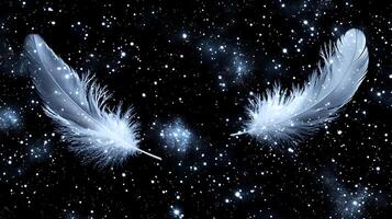 Elegant White Feathers Floating in a Starry Night Sky photo