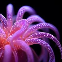 Close-Up View of a Colorful Bioluminescent Marine Organism photo