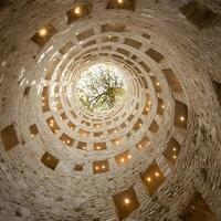 Ancient Stone Spiral Ruins with a Tree View at the Center photo
