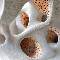 Abstract Interwoven Structures With Organic and Geometric Patterns in Muted Tones photo