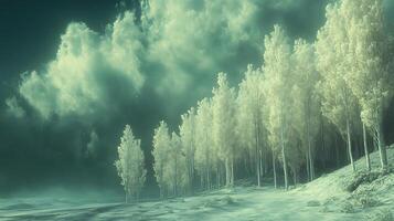 Ethereal Misty Forest with Silver Trees and Dramatic Cloudy Sky photo