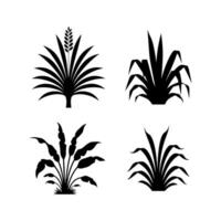 Four different types of plants in black and white vector