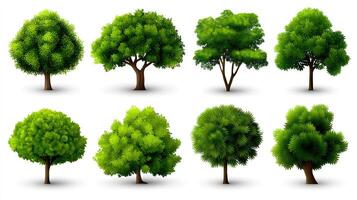 Set of realistic trees illustration photo