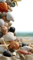 A pile of shells and starfish on the beach photo