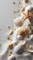Sea shells and starfish on sand photo