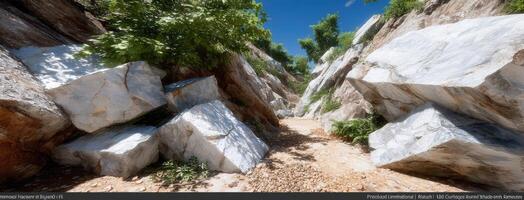 A scene with large rocks and trees photo