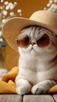 A cat wearing a hat and sunglasses photo
