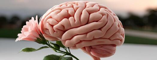 A brain and a pink rose on a table photo