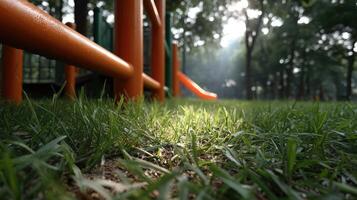 Colorful playground at sunset in urban park on the west coast with slides and play structures surrounded by green grass photo