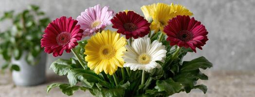 A vase filled with colorful gerbera flowers photo