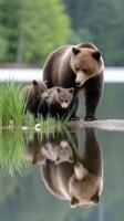 A mother bear and her cubs are standing in the water photo