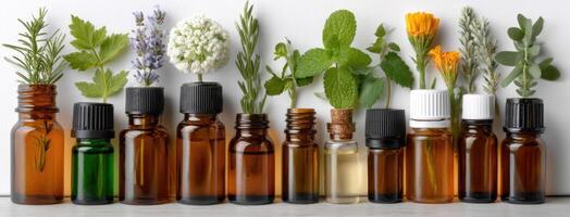 Essential oils in glass bottles photo