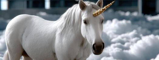 A white unicorn with a golden horn standing in the clouds photo