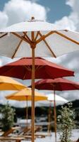 A group of wooden umbrellas on a beach photo