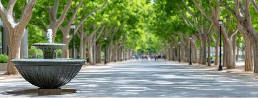 A fountain is sitting in the middle of a tree lined street photo