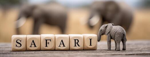 Safari - word block with elephant photo