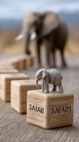 A small elephant is standing on top of wooden blocks with the word safari photo