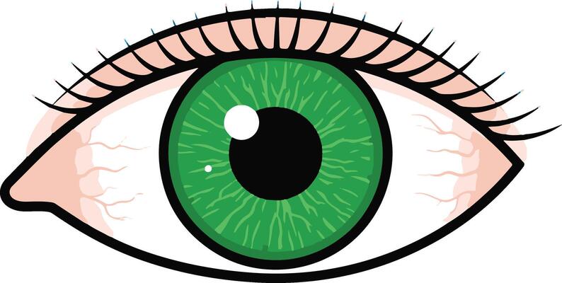 A realistic green human eye