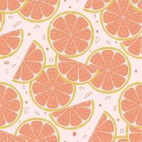 seamless pattern with citrus fruits illustration art vector